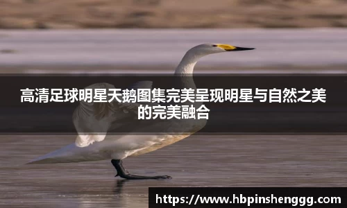南宫NG体育