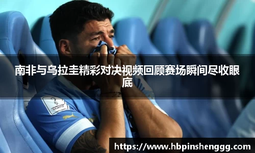 NG体育·(南宫)官方网站